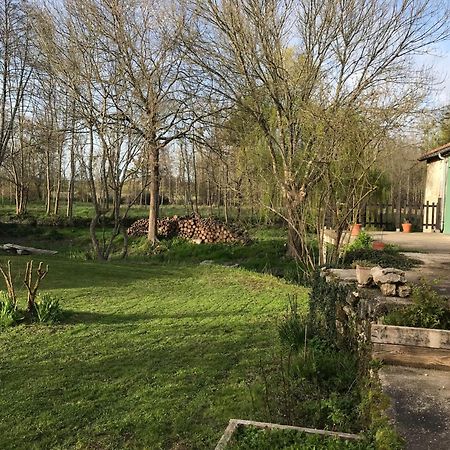 Ancien Moulin A Eau Sur La Seugne Lägenhet Mosnac  Exteriör bild